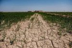 فقط ۲ ماه تا پایان سال آبی مانده است