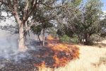 مهار آتشسوزی در منطقه نهالکاری چراغتپه مینودشت