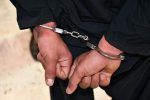 دو ضارب محیطبان شهید شهمرادی دستگیر شدند