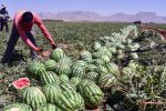 آبی که به اقتصاد «آب‌محور» مبتلاست