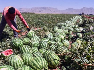 آبی که به اقتصاد «آبمحور» مبتلاست