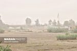 تخریب منابع طبیعی عامل تشدید هجوم ریزگردها در سال‌های اخیر است